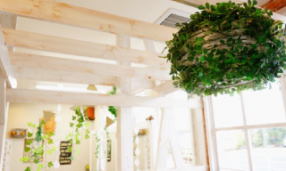 ご利用者様の声